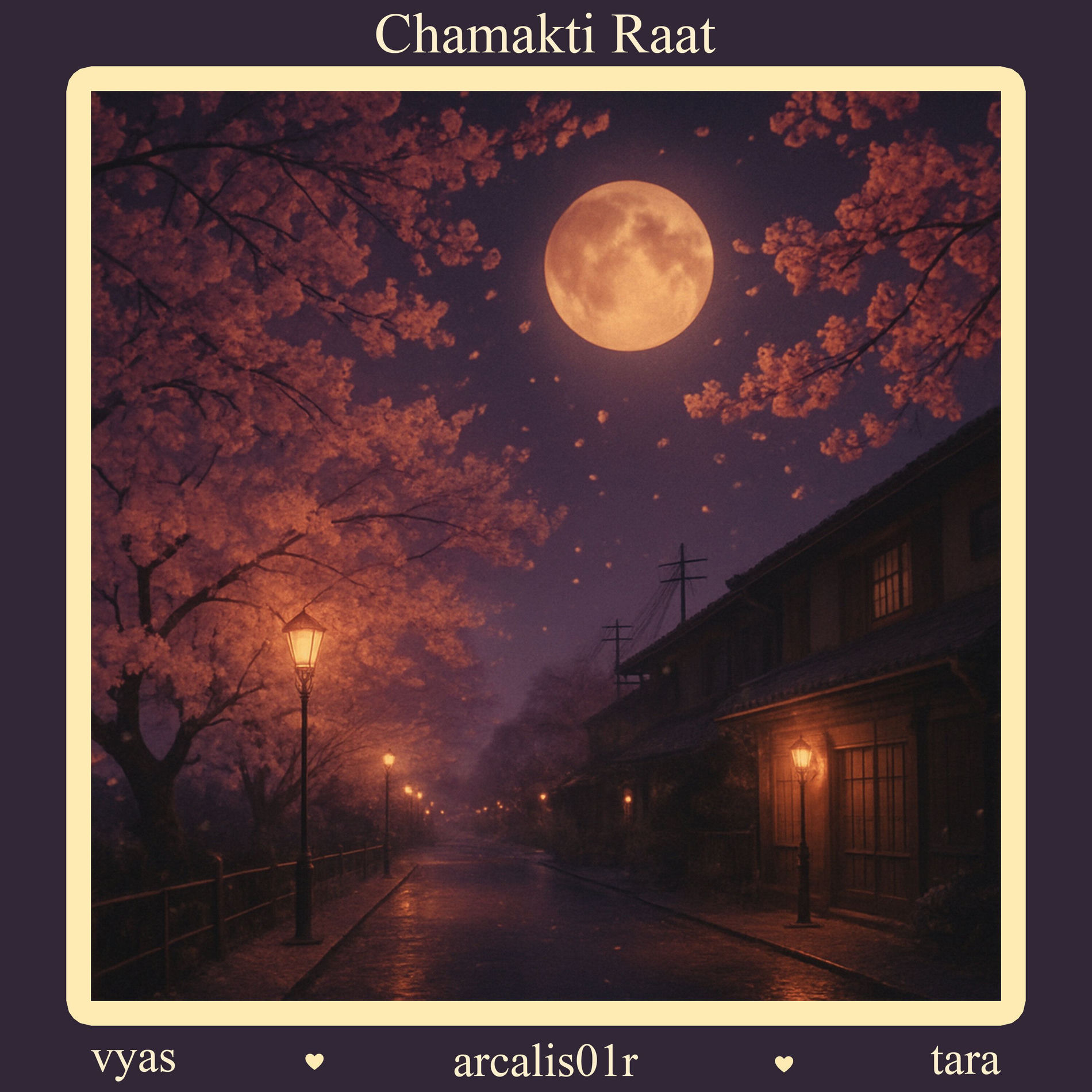 Album cover of Chamakti Raat