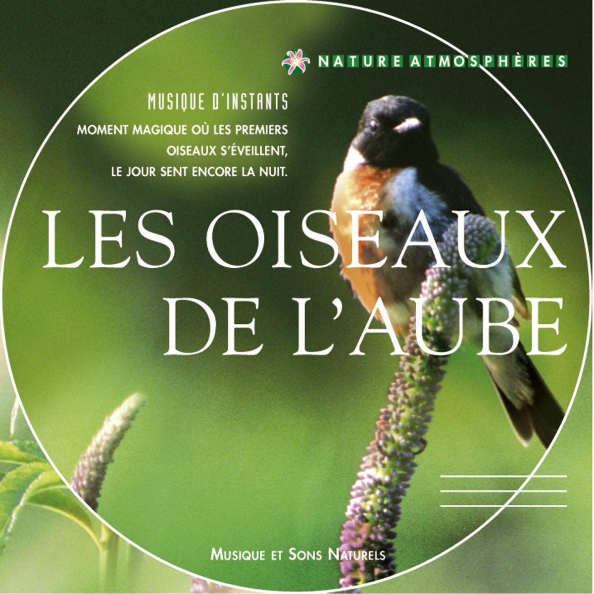 Album cover of Nature atmosphères : les oiseaux de l'aube (Musique et sons naturels)