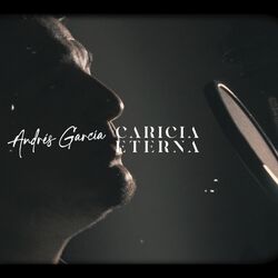 Cover of Caricia eterna