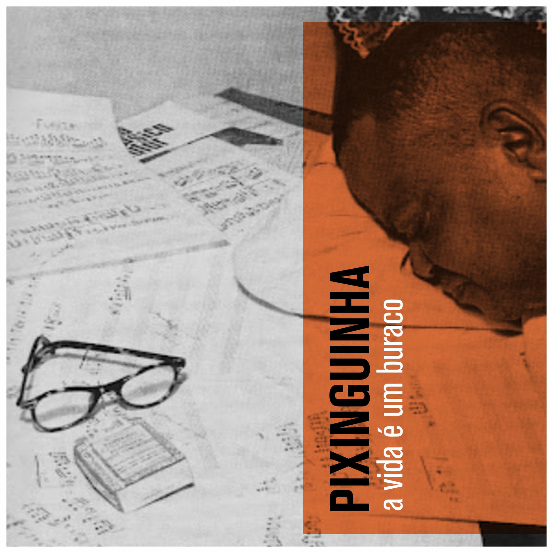 Album cover of A Vida É Um Buraco