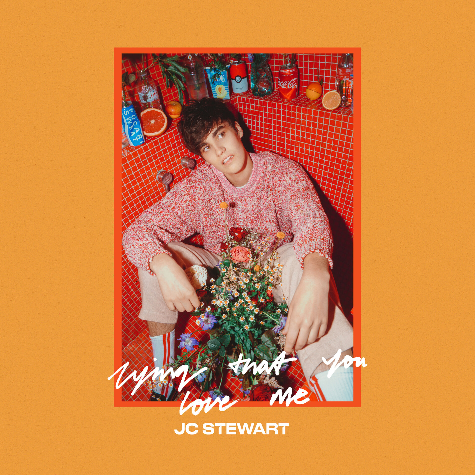 Album cover of Lying That You Love Me
