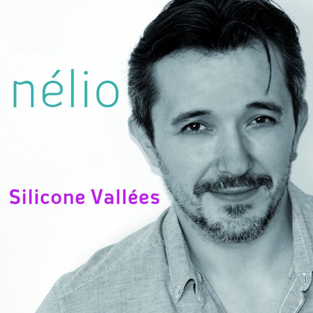 Picture of Silicone vallées
