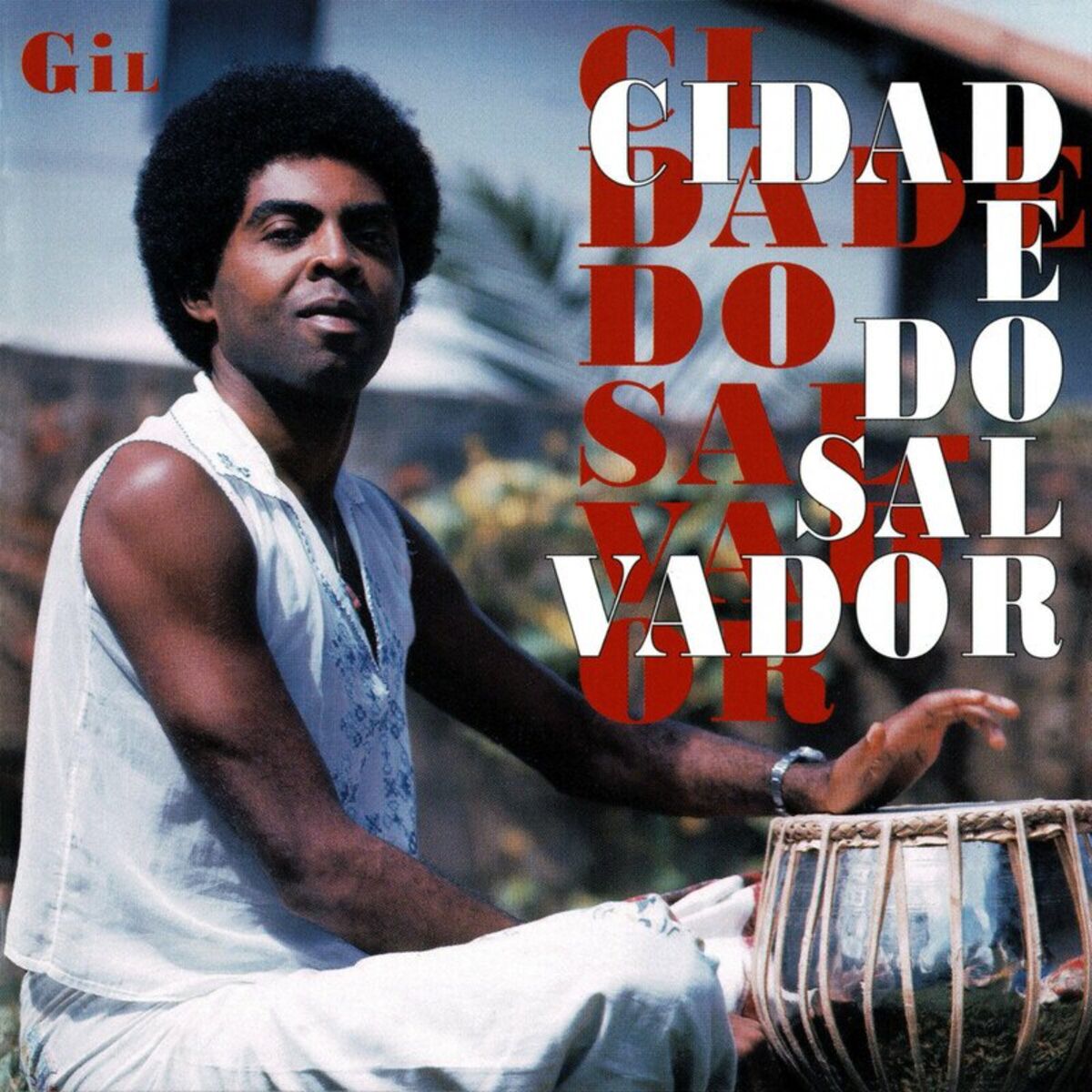 Album cover of Eu Só Quero um Xodó