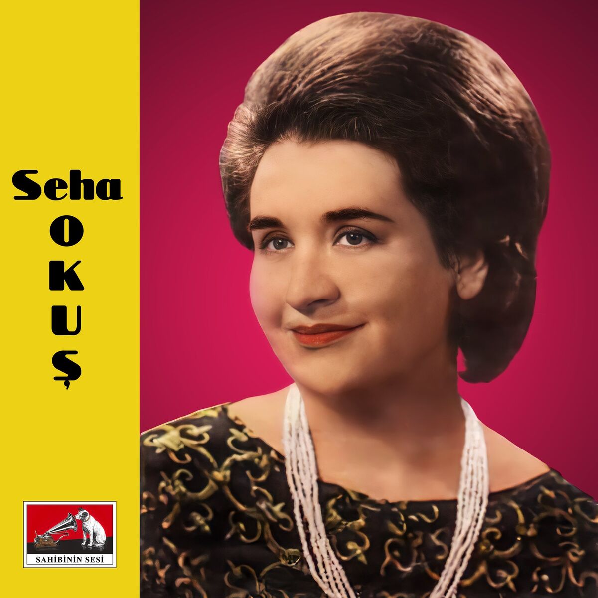 Album cover of İlk Akşamdan Da Yüklediler Göçümü