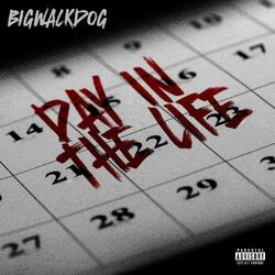 Cover of Day in the Life