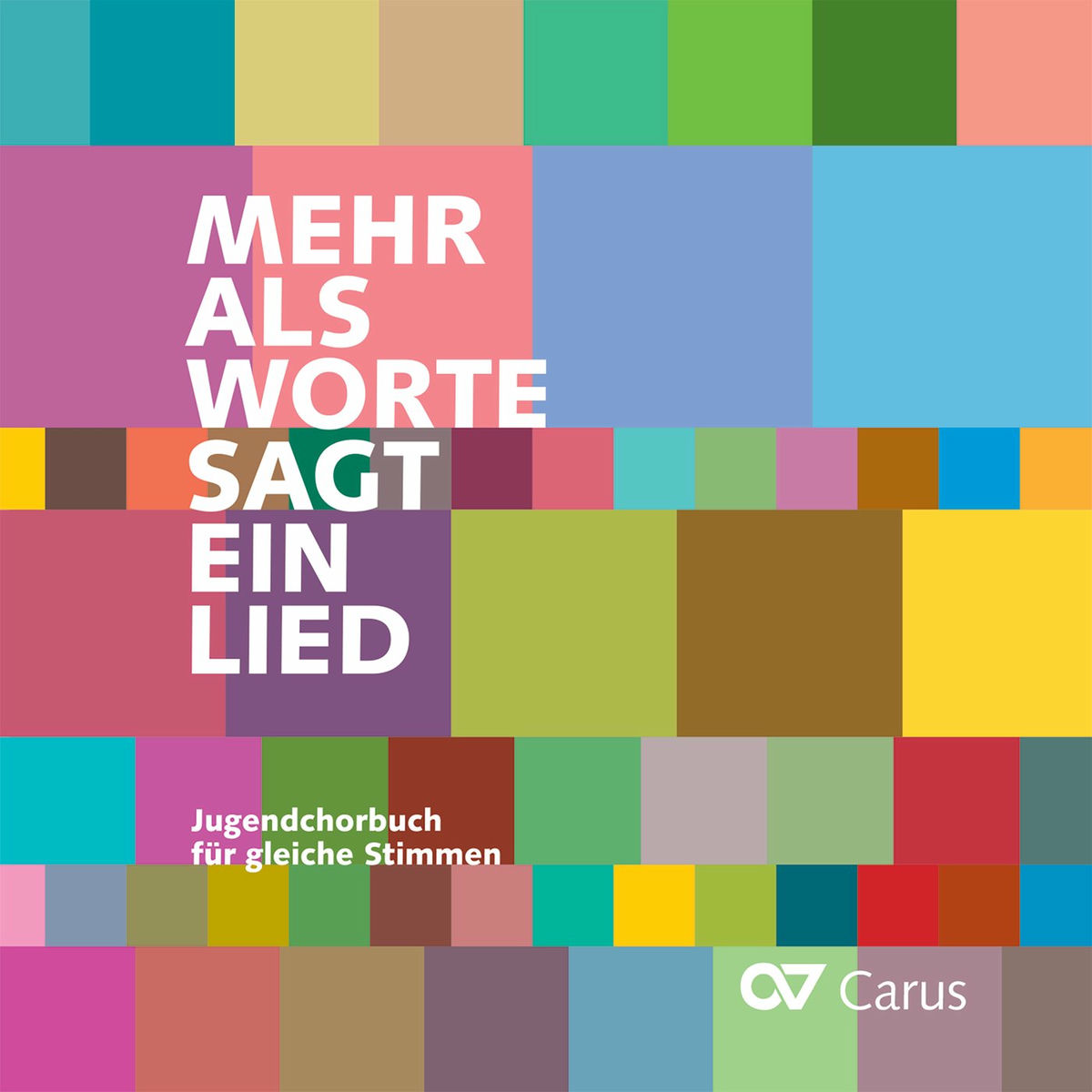 Album cover of Mehr als Worte sagt ein Lied (Begleit-CD)