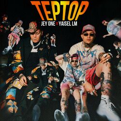Cover of Teptop