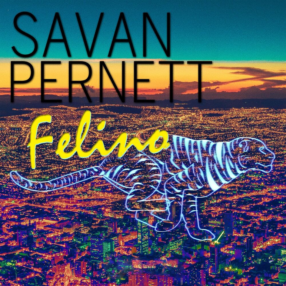 Picture of Felino