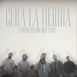 Cover of Cura la Herida