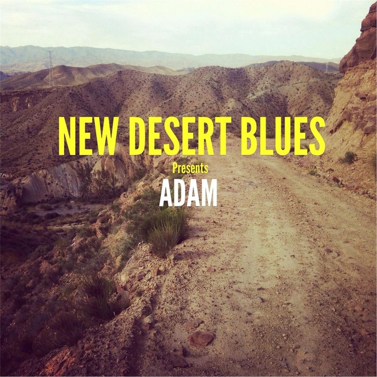 Album cover of Adam