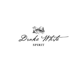 Cover of Spirit