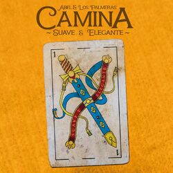 Cover of Camina (Suave y Elegante)