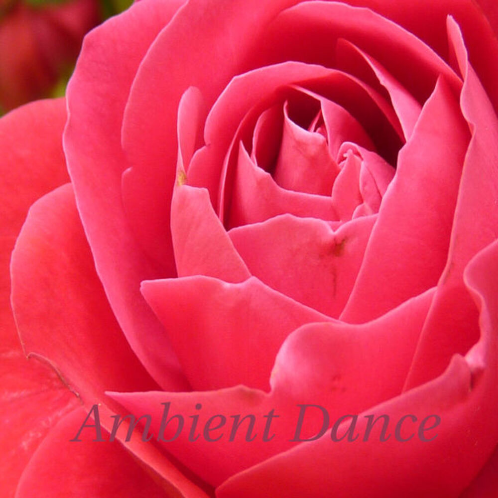 Picture of Ambient Dance