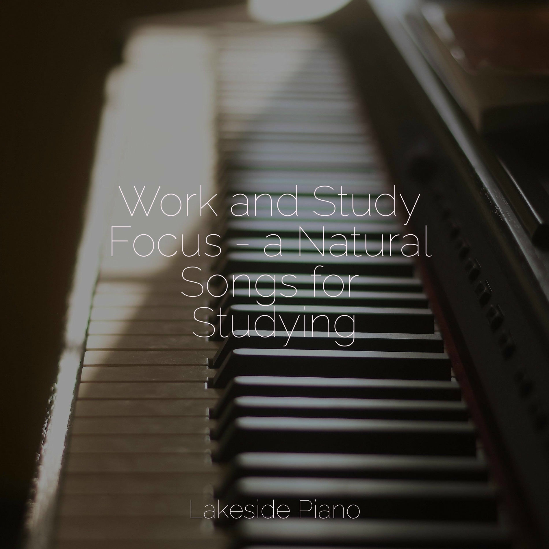 Album cover of Work and Study Focus - a Natural Songs for Studying