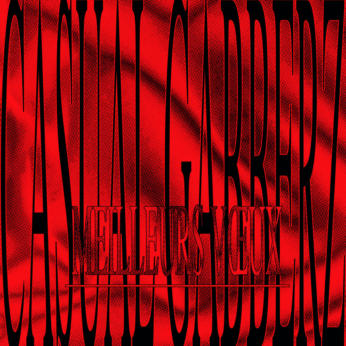 Album cover of Meilleurs Voeux