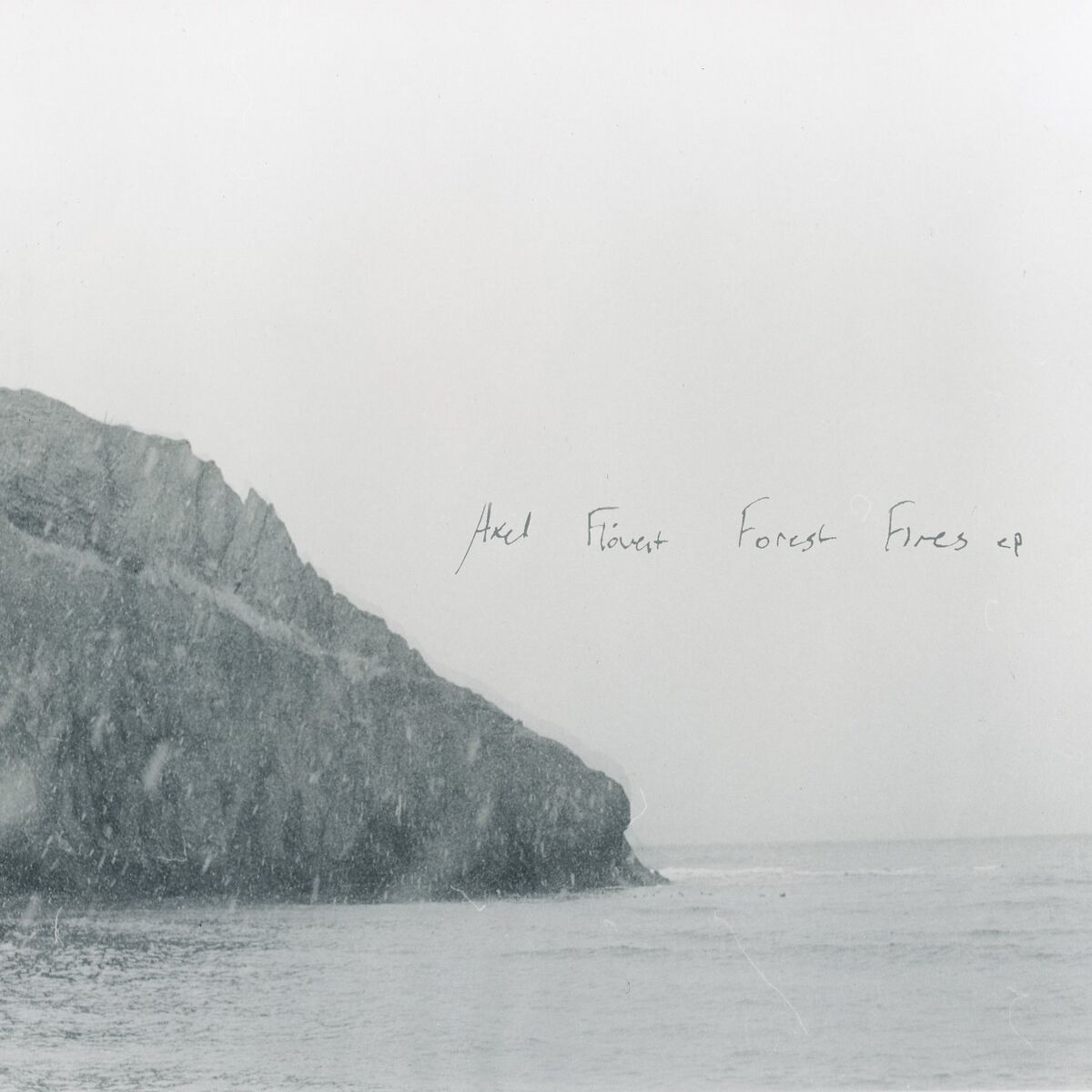 Album cover of Forest Fires