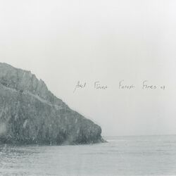 Cover of Forest Fires