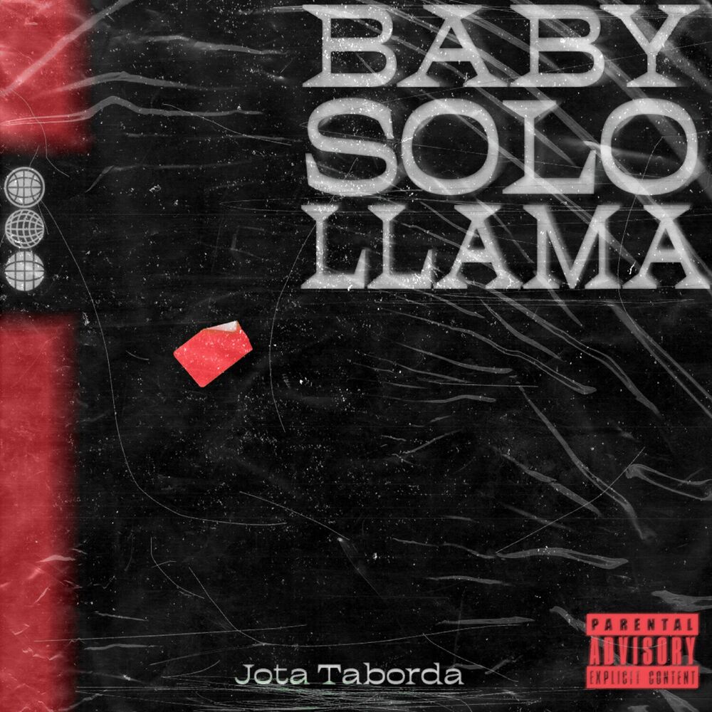 Picture of Baby Solo Llama