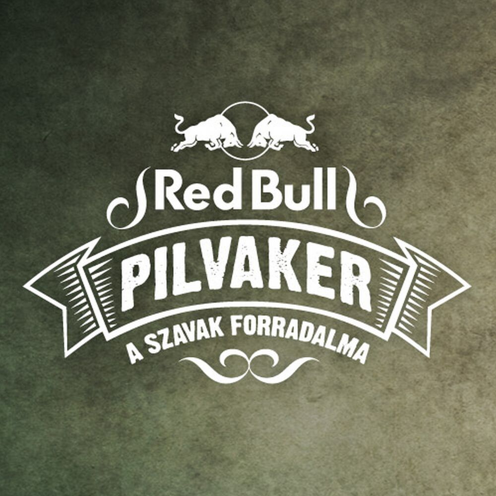 Picture of Red Bull Pilvaker 2015