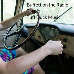 Cover of Buffett on the Radio