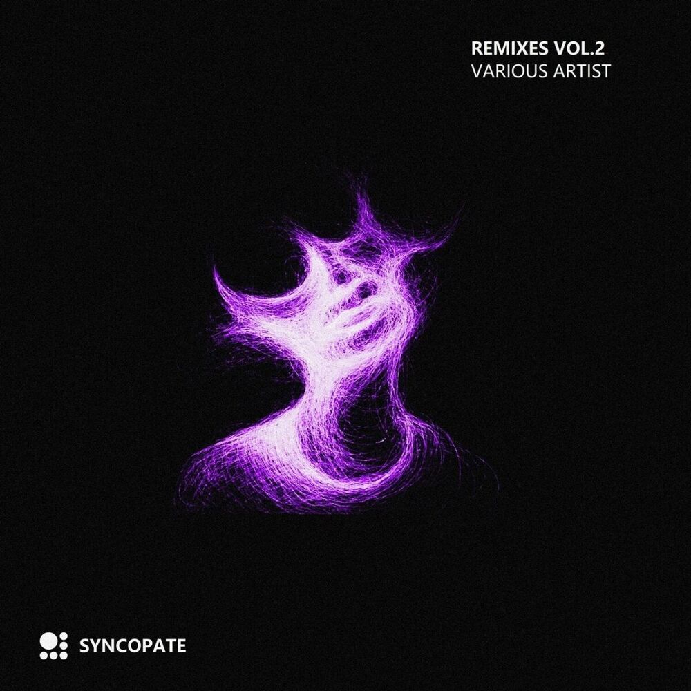 Picture of Remixes, Vol. 2