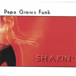 Cover of Shakin'