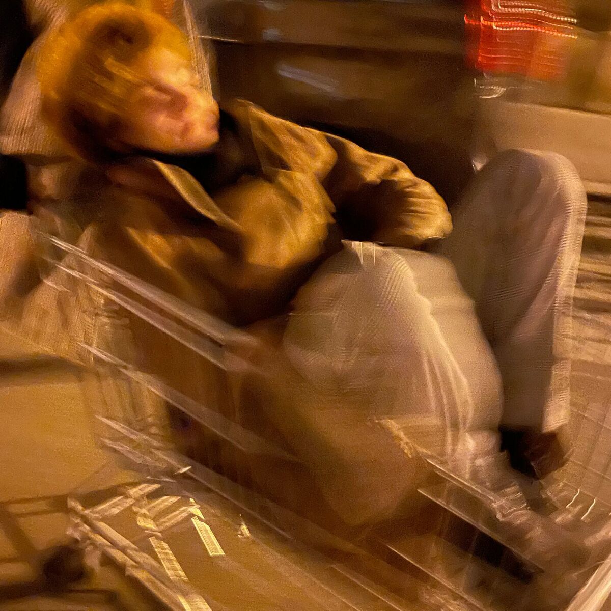 Album cover of Dienstag (noch immer dieser Rave)