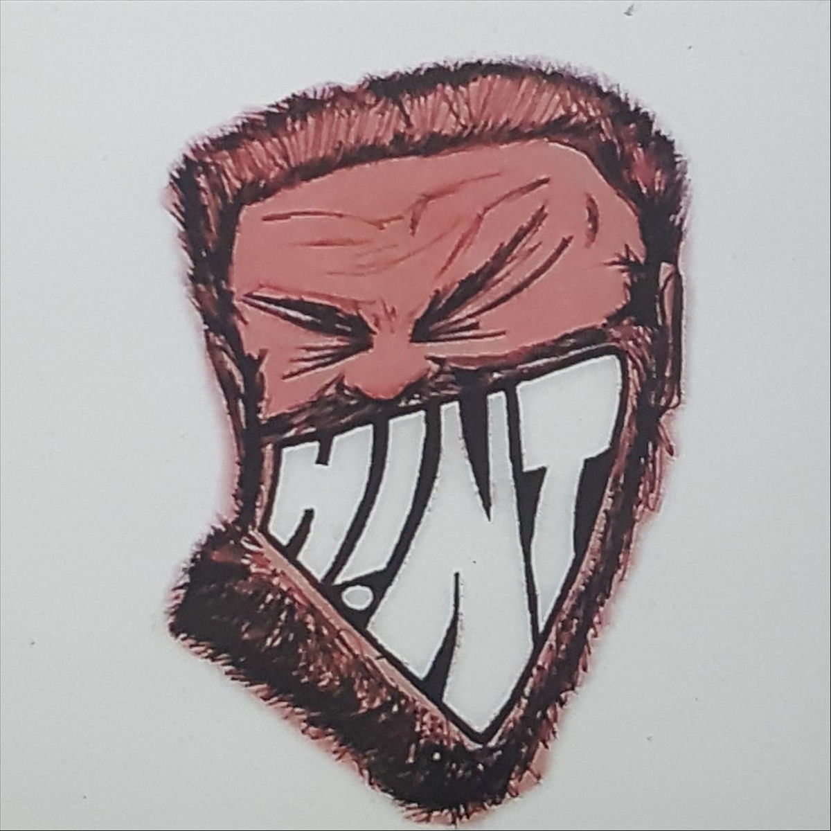 Album cover of Hint