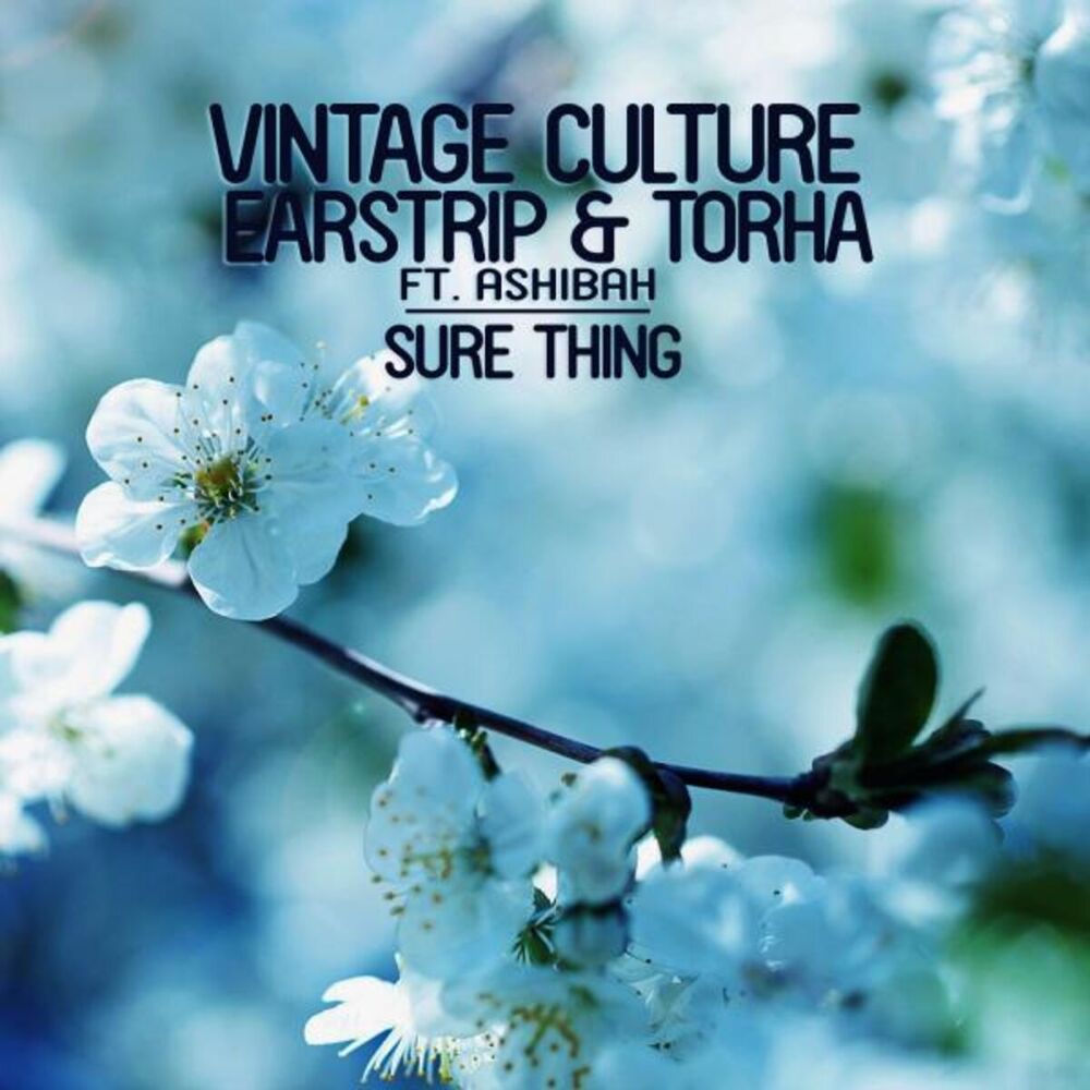 Picture of Sure Thing