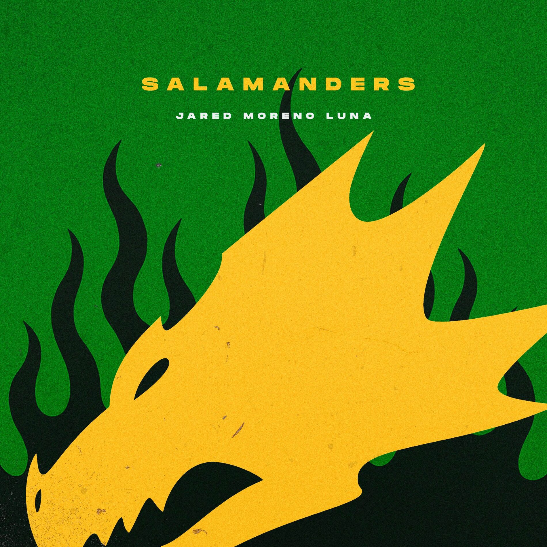 Album cover of Salamanders (Warhammer 40,000)