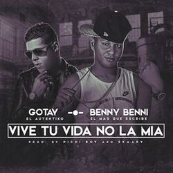 Cover of Vive Tu Vida No La Mia