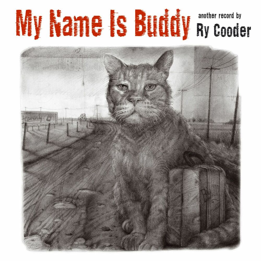 Picture of My Name Is Buddy