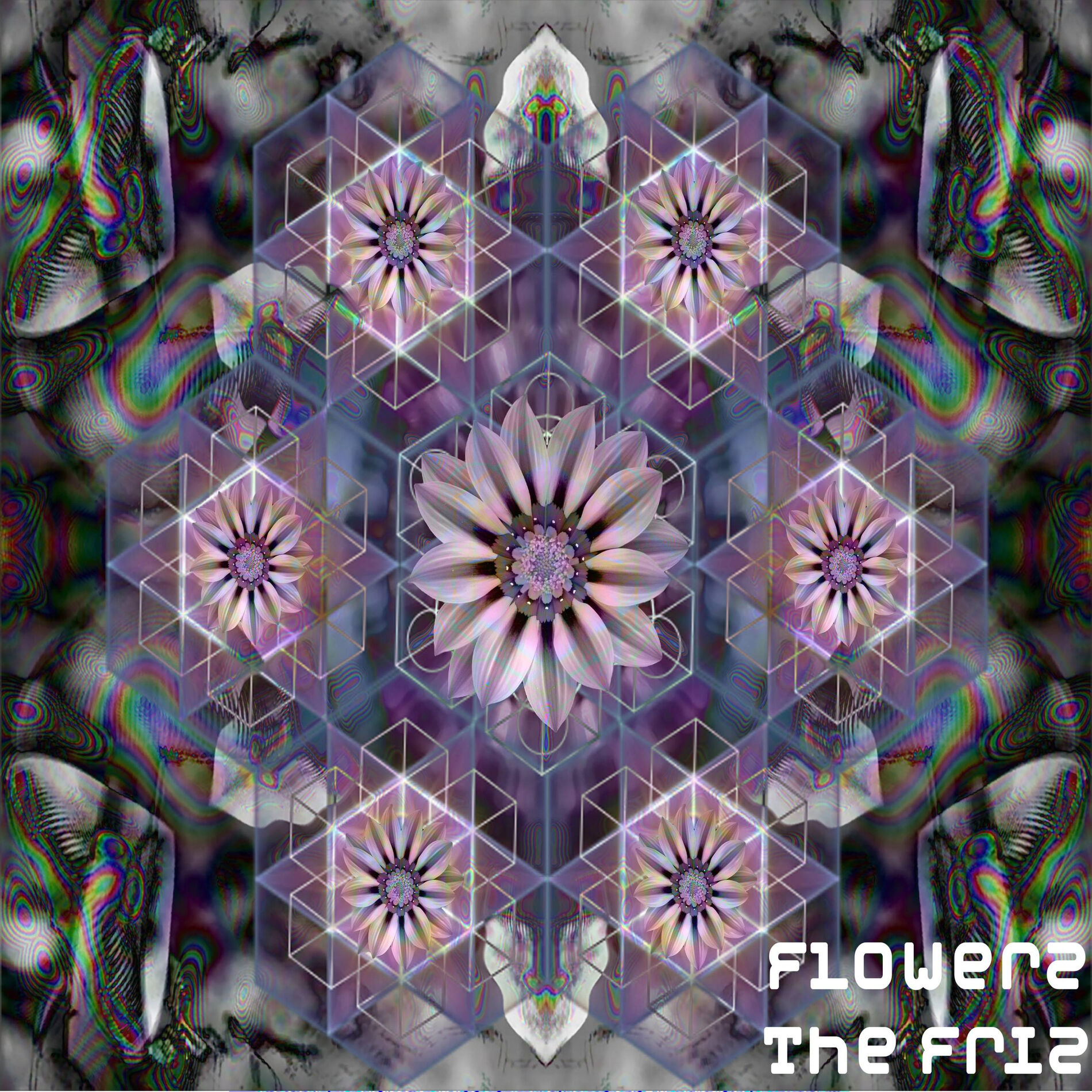 Album cover of Flowerz
