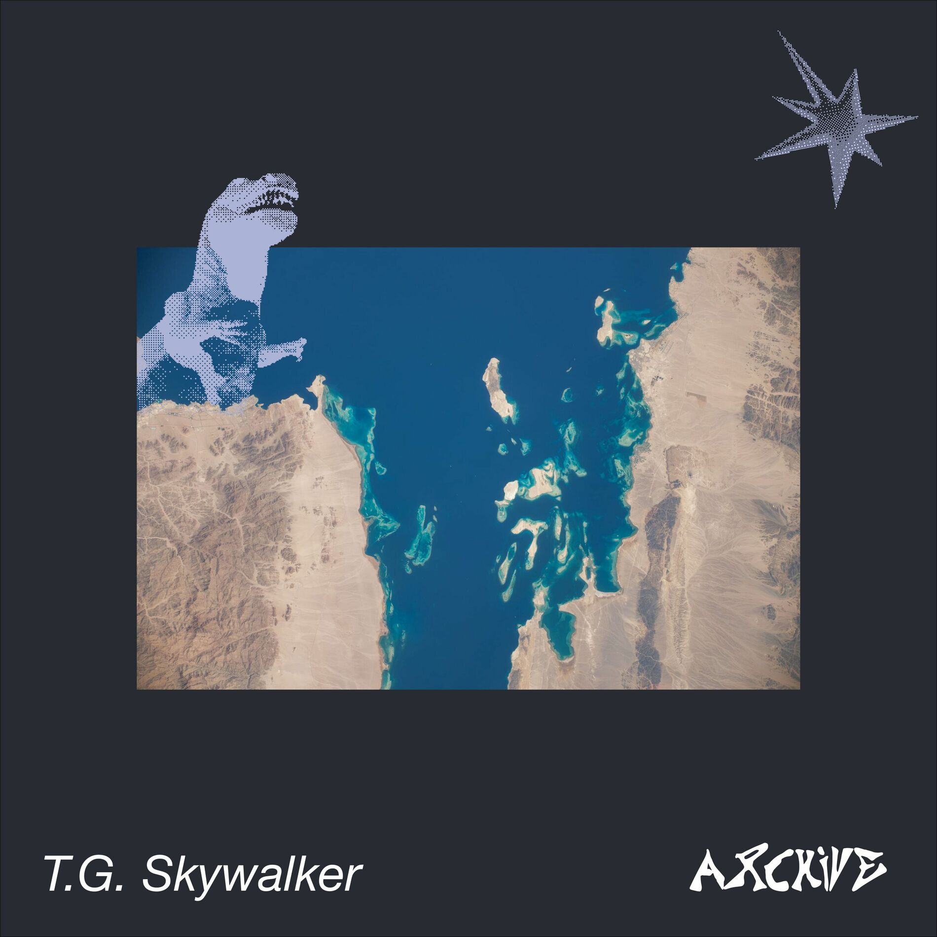 Album cover of Archive