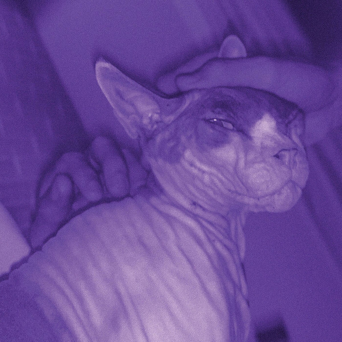 Album picture of Cum Laude