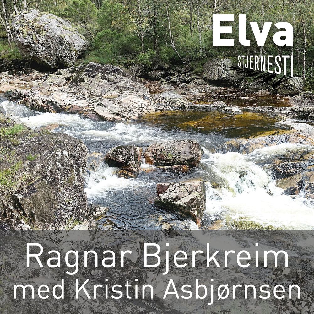 Picture of Elva (Radio Version)