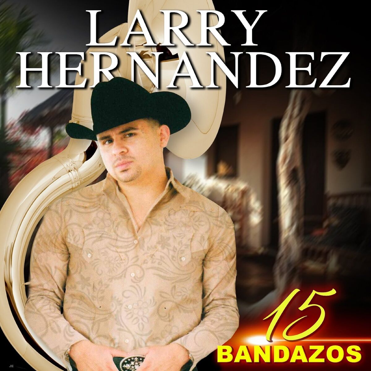Album cover of 15 Bandazos