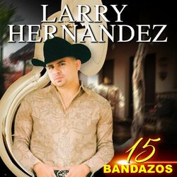 Cover of 15 Bandazos