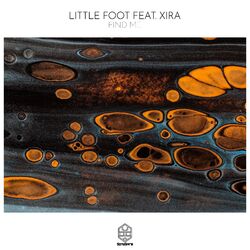 Cover of Find Me