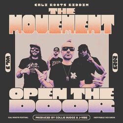 Cover of Open The Door