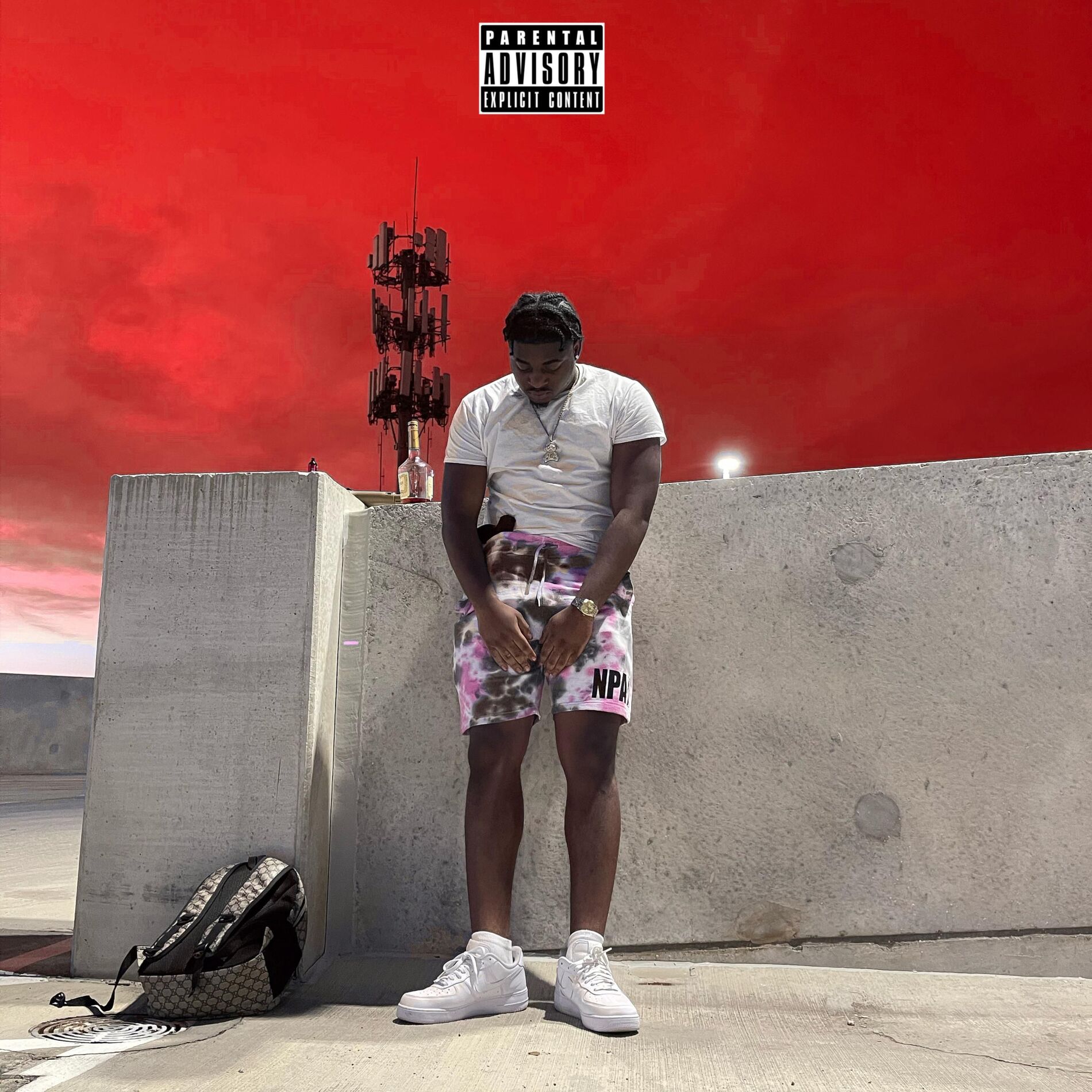 Album cover of Popular Loner