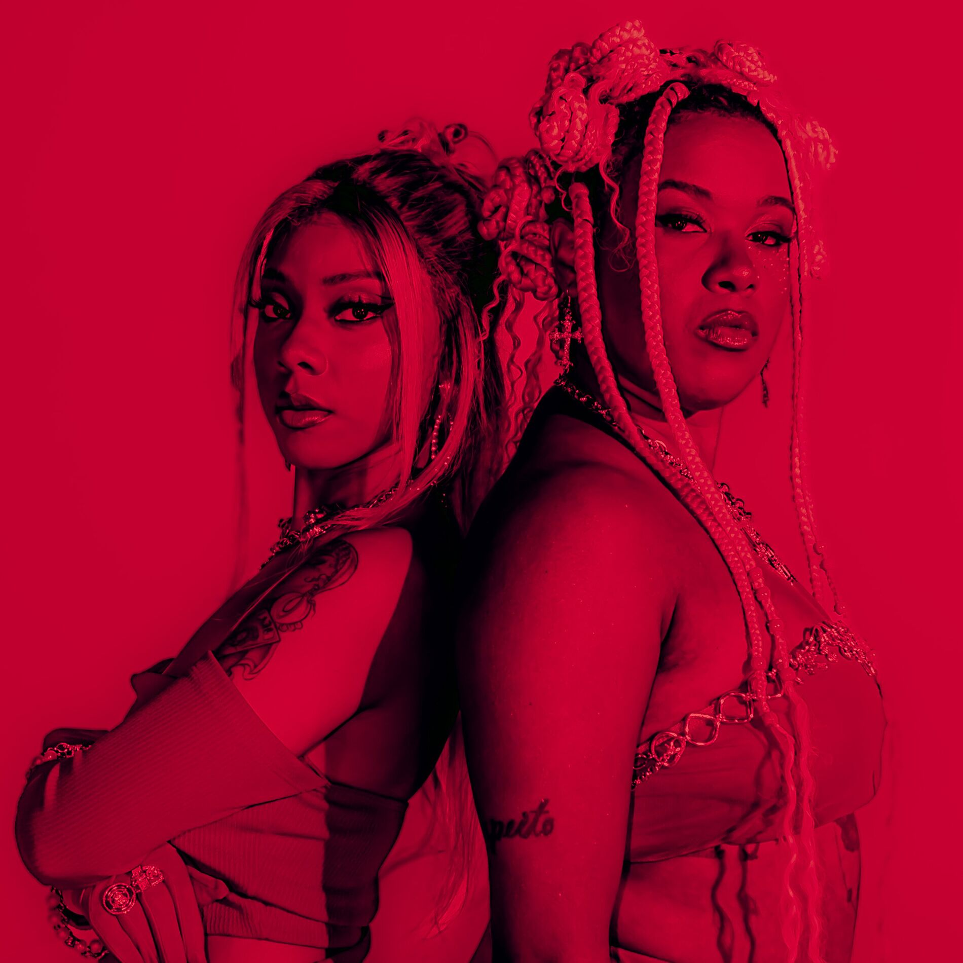 Album cover of Piranha