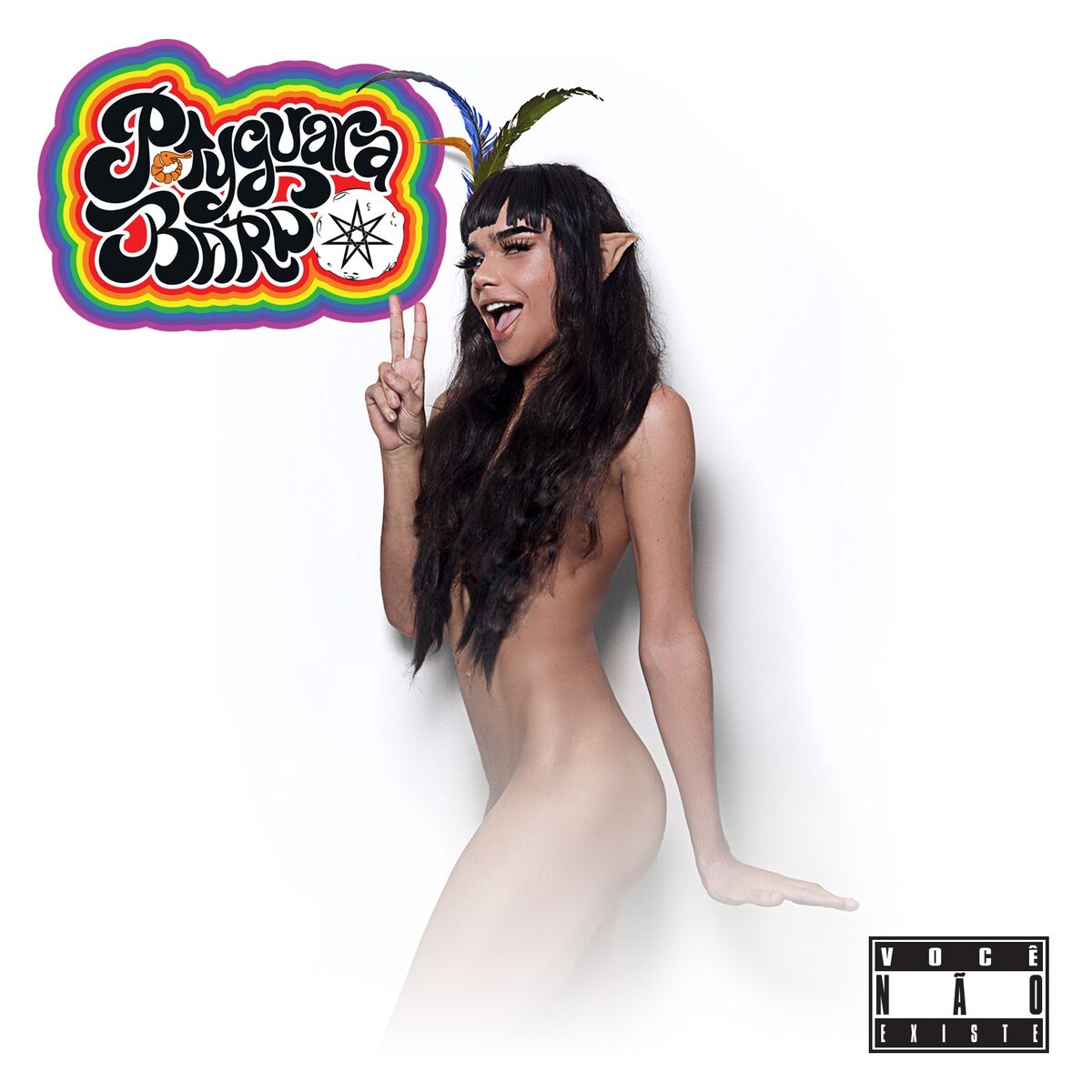 Album cover of Você Não Existe