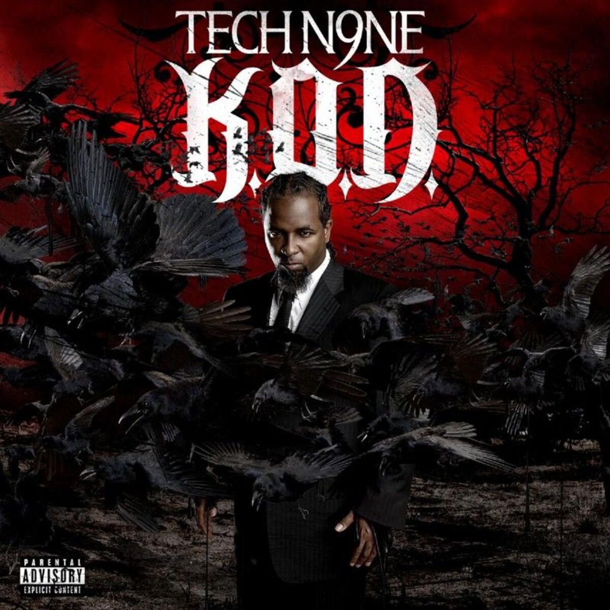 Album cover of K.O.D.