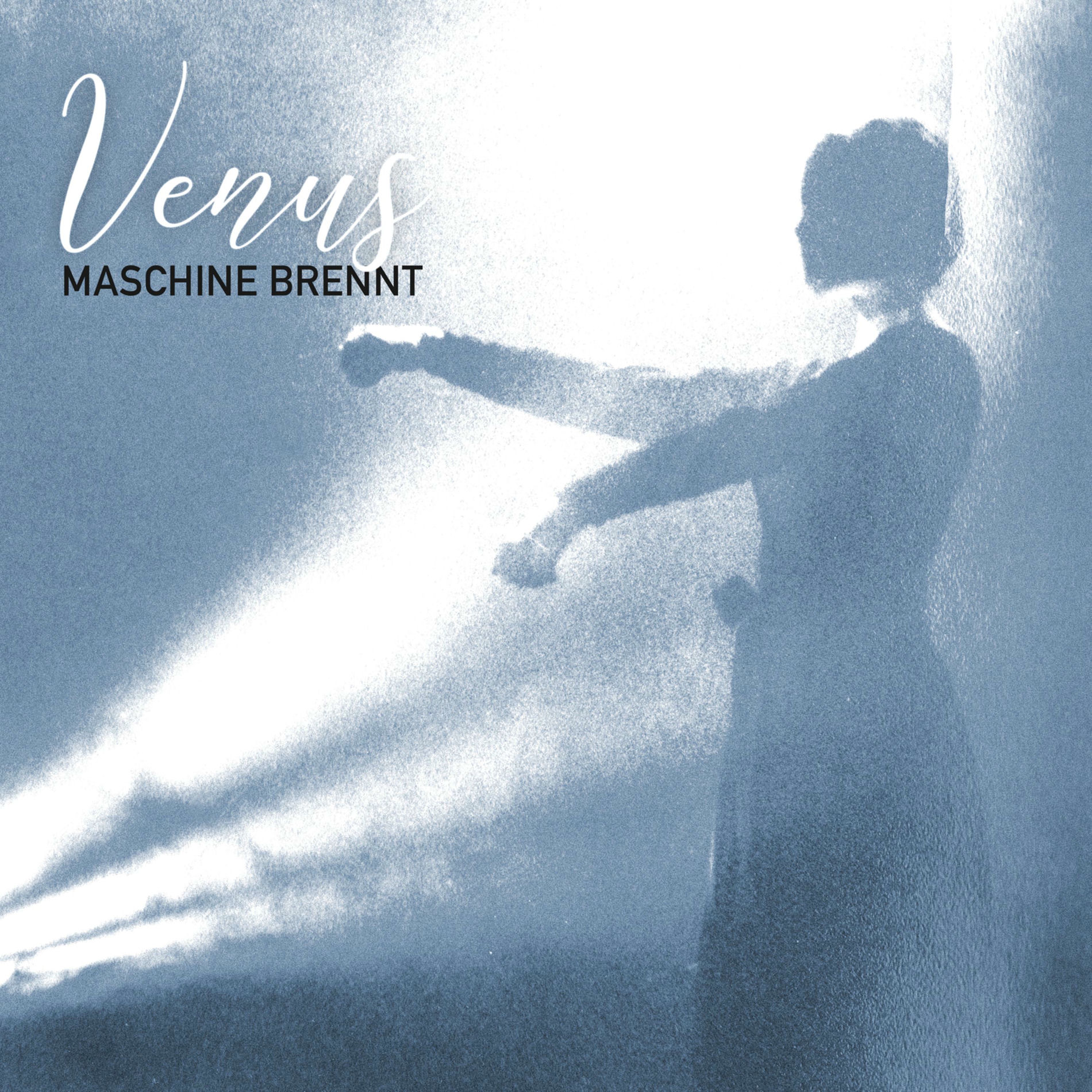 Album cover of Venus