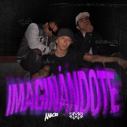 Cover of Imaginándote