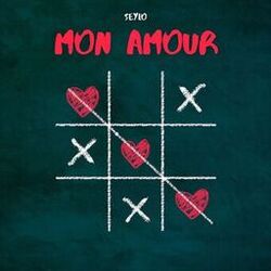 Cover of Mon Amour