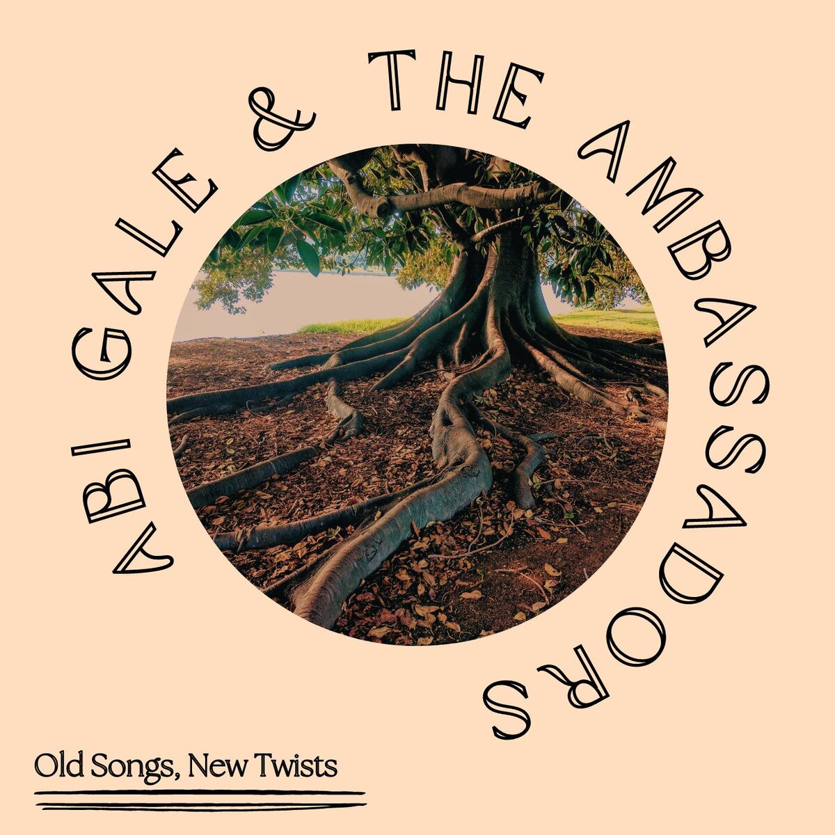 Album cover of Old Songs, New Twists