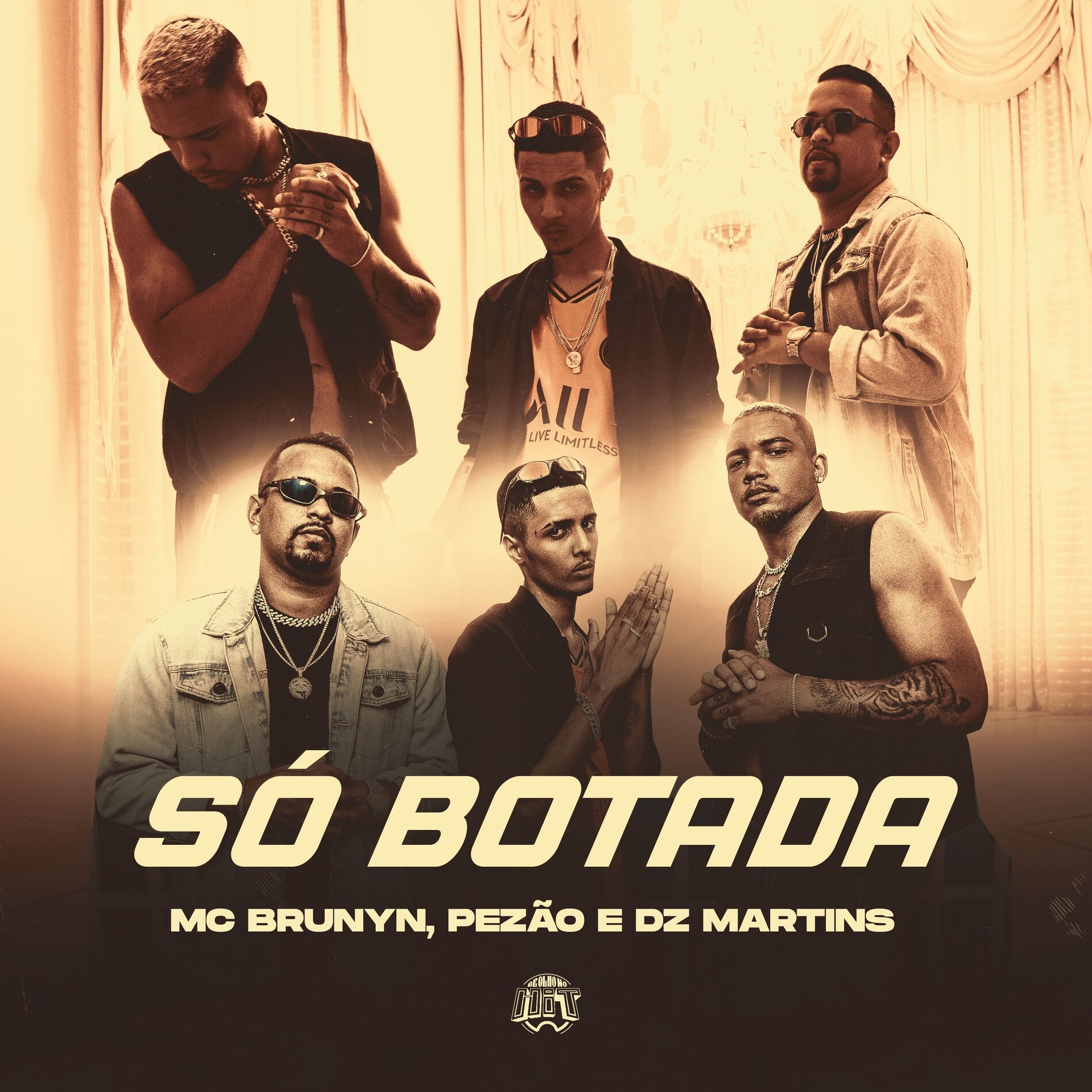 Album cover of Só Botada