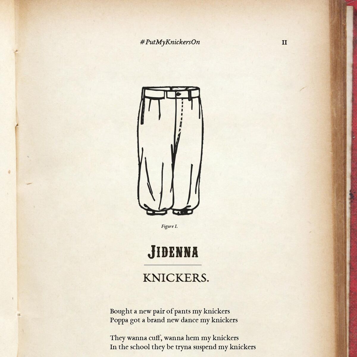 Album cover of Knickers